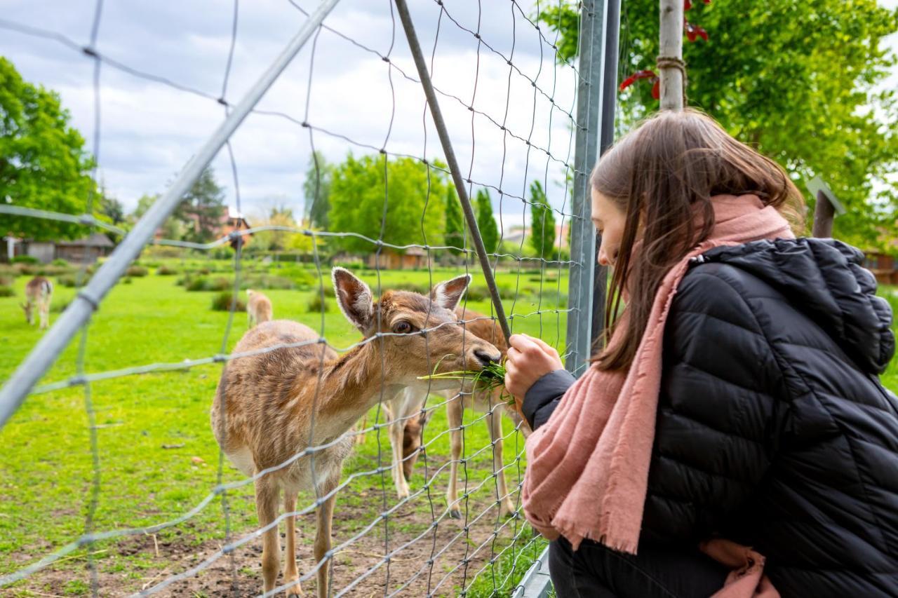 Landhotel Biberburg Bad Liebenwerda Kültér fotó